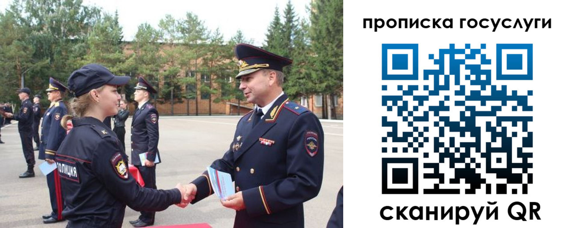 прописка 2025 в Кольчугино